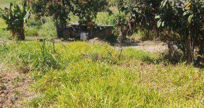 Terreno à venda, 500 m² por R$ 50.000 - Tataúba - Caçapava/SP