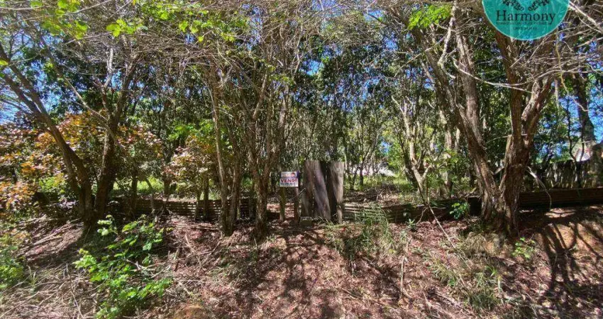 Terreno à venda, 4135 m² por r$ 240.000 - caçapava velha - caçapava/sp