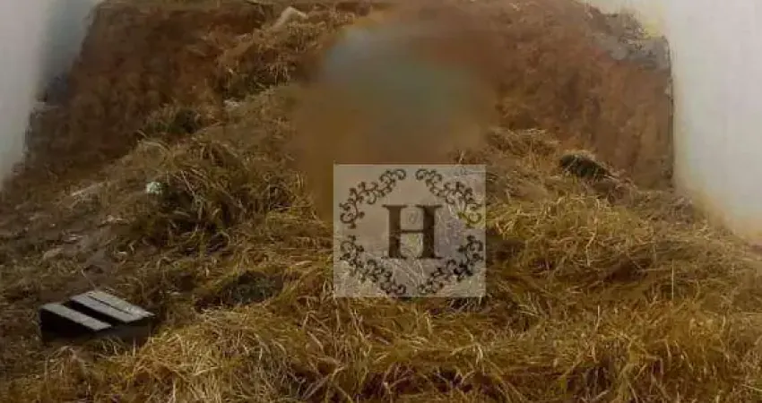 Terreno à venda, 175 m² por r$ 137.800,00 - residencial borda do campo - caçapava/sp