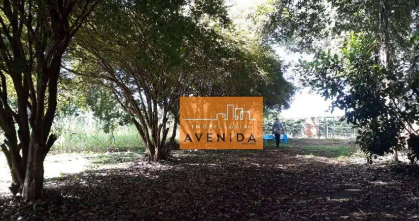Chácara / sítio com 1 quarto à venda na Avenida Presidente Getúlio Vargas, Bonfim, Paulínia