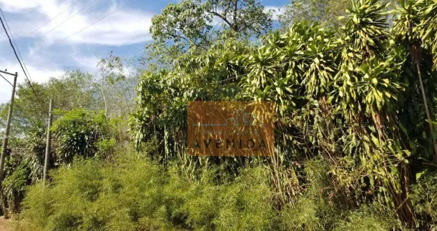 Área à venda, 5000 m² por R$ 5.000.000,00 - Santa Terezinha - Paulínia/SP