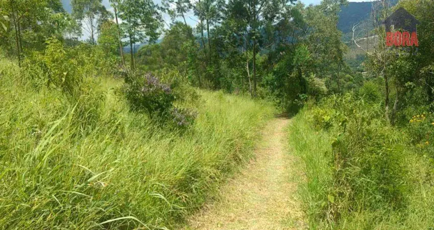 Terreno à venda, 3600 m² por R$ 195.000,00 - Luiz Fagundes - Mairiporã/SP