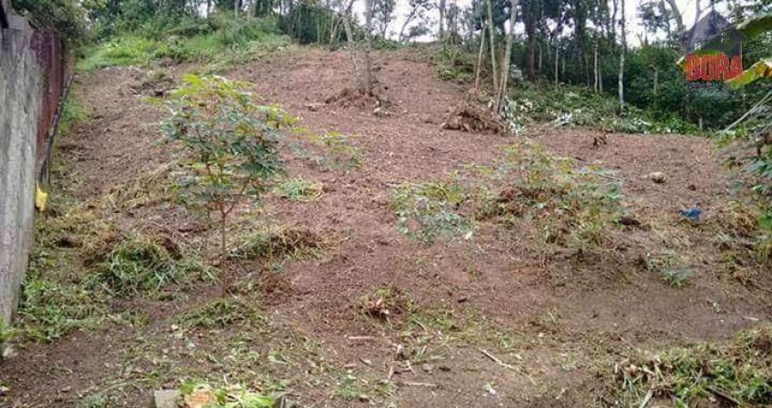 Terreno à venda, 1000 m² por R$ 120.000 - Jardim Maria Antonina - Mairiporã/SP