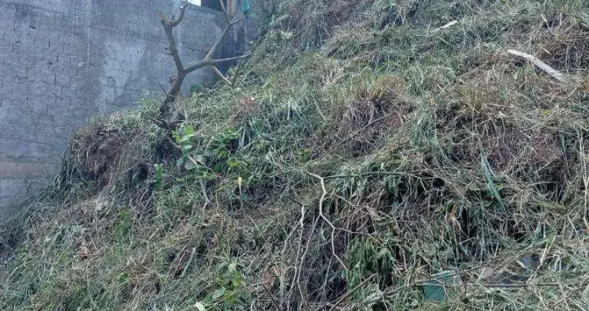 Terreno à venda, 338 m² por R$ 65.000,00 - Jardim Carpi - Mairiporã/SP