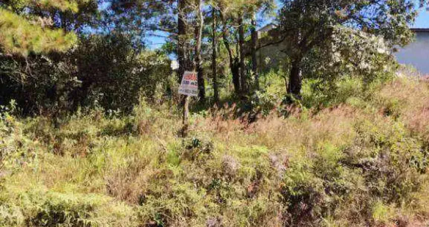 Terreno à venda, 500 m² por r$ 180.000 - corumbá - mairiporã/sp