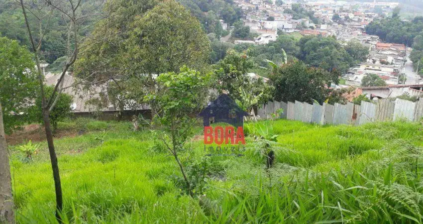 Terreno à venda, 300 m² por r$ 135.000 - terra preta - mairiporã/sp