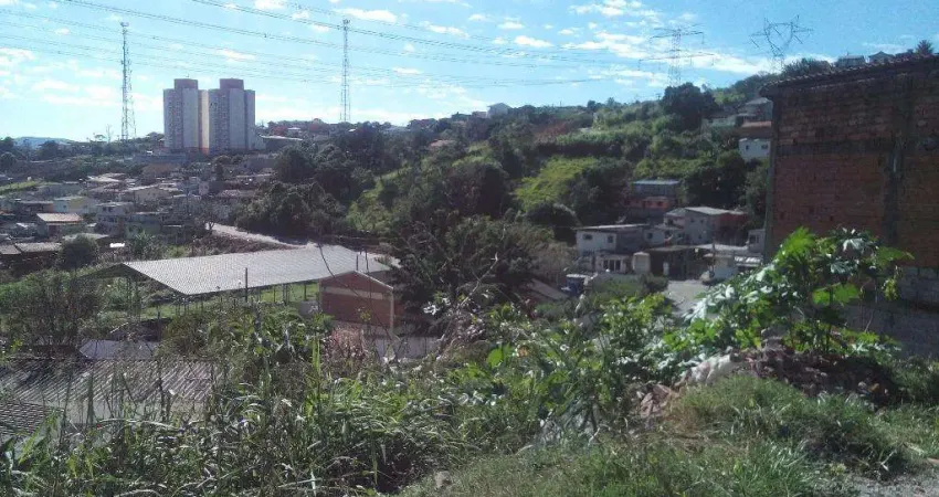Terreno residencial à venda, Terra Preta, Mairiporã.