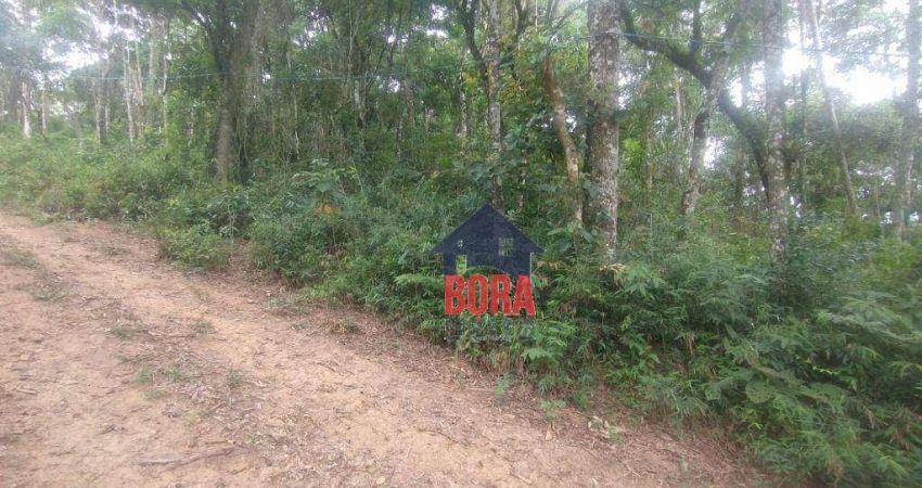 Terreno à venda, 1000 m² por R$ 100.000 - Corumbá - Mairiporã/SP