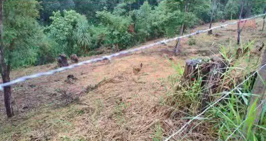 Terreno à venda, 4533 m² por r$ 230.000,00 - terra preta - mairiporã/sp