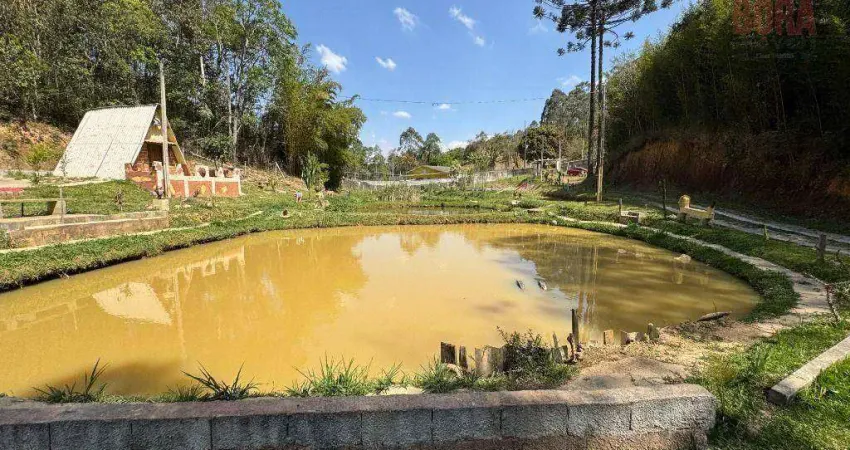 Chácara com 1 dormitório à venda, 6000 m² por r$ 600.000 - lavras - mairiporã/sp