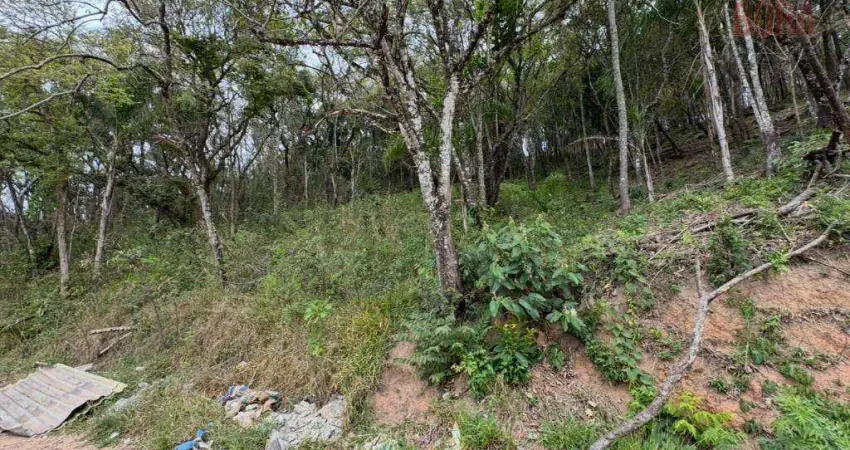 Terreno à venda, 1005 m² por r$ 100.000 - mato dentro - mairiporã/sp