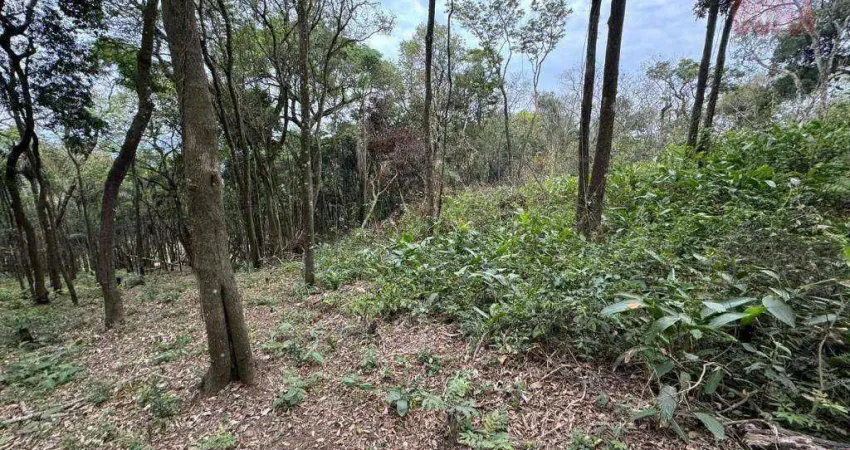 Terreno à venda, 4000 m² por r$ 440.000 - mato dentro - mairiporã/sp