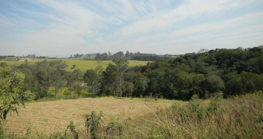 Terreno à venda, 5000 m² por R$ 550.000,00 - Ivoturucaia - Jundiaí/SP