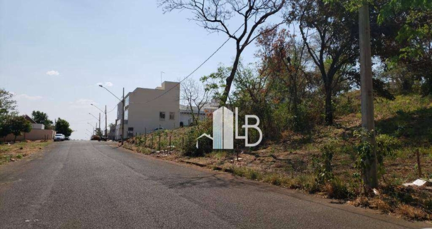 Terreno à venda, 300 m² por R$ 320.000,00 - Vigilato Pereira - Uberlândia/MG