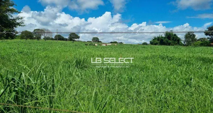 Fazenda próxima à Monte Alegre de Minas com 26,4 hectares.