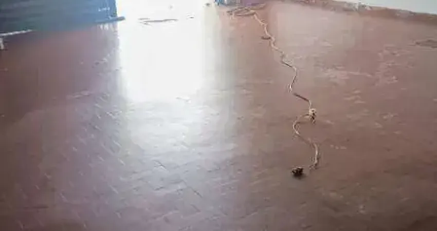 Salão para alugar, 100 m² por r$ 9.475,00/mês - água rasa - são paulo/sp