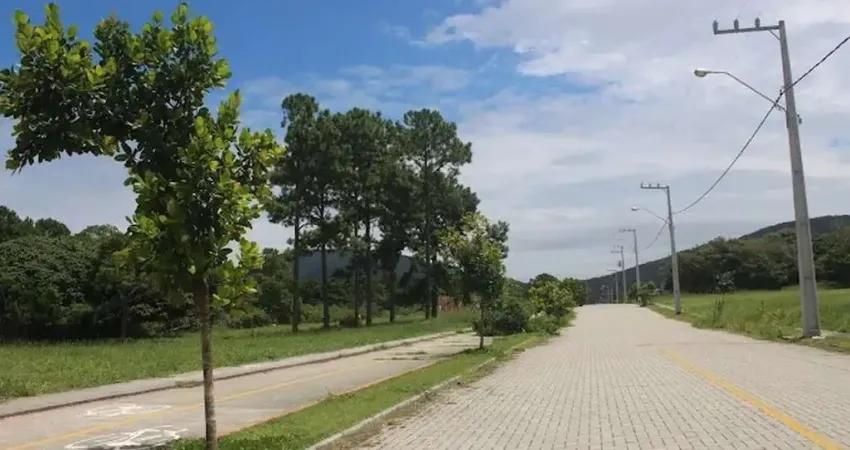 Terreno para Venda em Florianópolis, São João do Rio Vermelho