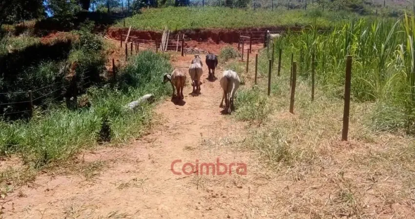 Fazenda à venda no Centro, Governador Valadares 