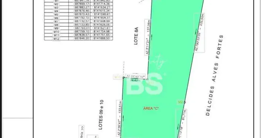 Excelente area comercial as margens da br 153 - ideal para galpoes , empresas de logistica