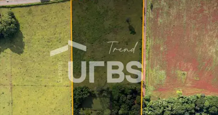 Chácara / sítio com 5 quartos à venda na Rodovia GO-080, 43, Chácaras Bom Retiro, Goiânia