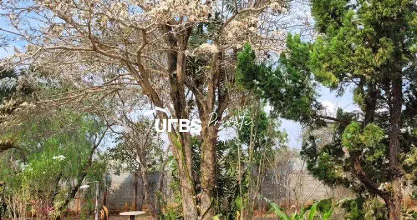 Chácara / sítio com 6 quartos à venda na Rua Vicinal 3, 33 d, Sítios Olhos D'agua, Senador Canedo