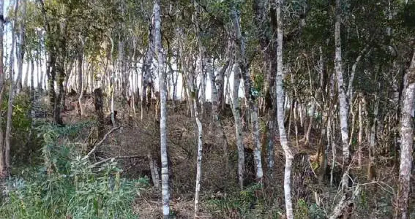 Terreno à venda na Municipal Laurindo Nogueira, S/N, Paiol De Baixo, Campina Grande do Sul
