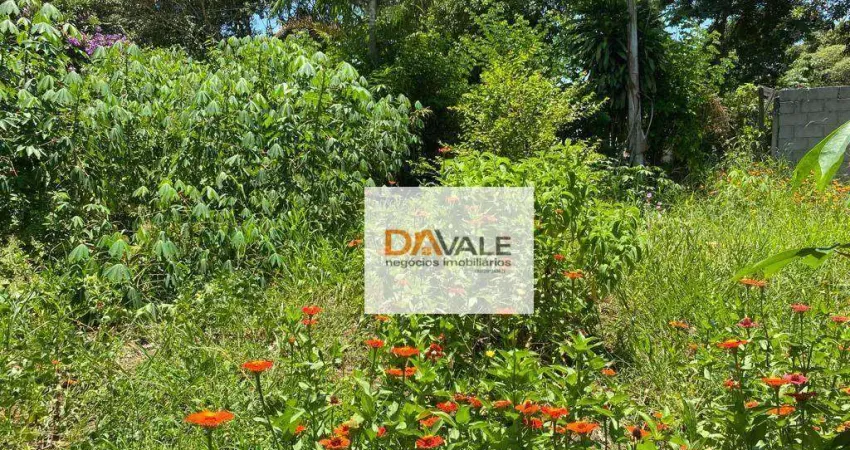 Chácara à venda, 1000 m² por R$ 120.000 - Chácara Ipês- Boa Vista - Caçapava/SP