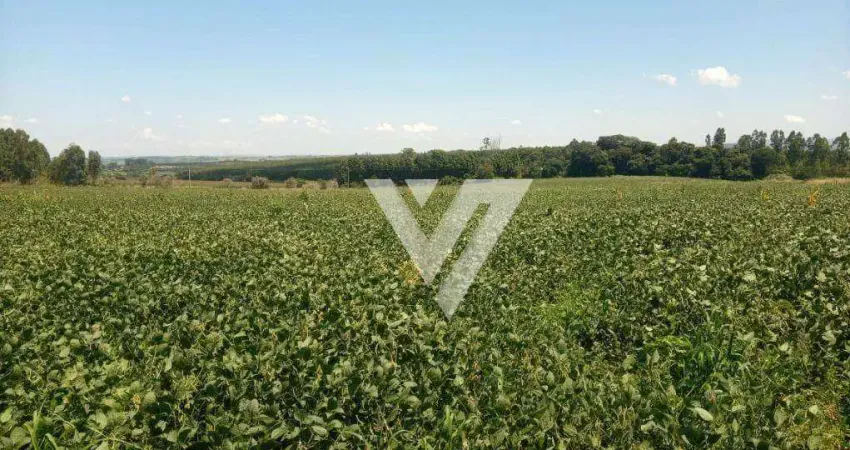 Terreno comercial à venda na Estrada Vicinal Roque De Barros Leite, 53, Centro, Salto de Pirapora