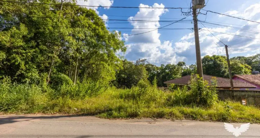 Terreno à venda na Rua Ângelo Pianaro, 2335, Butiatuvinha, Curitiba