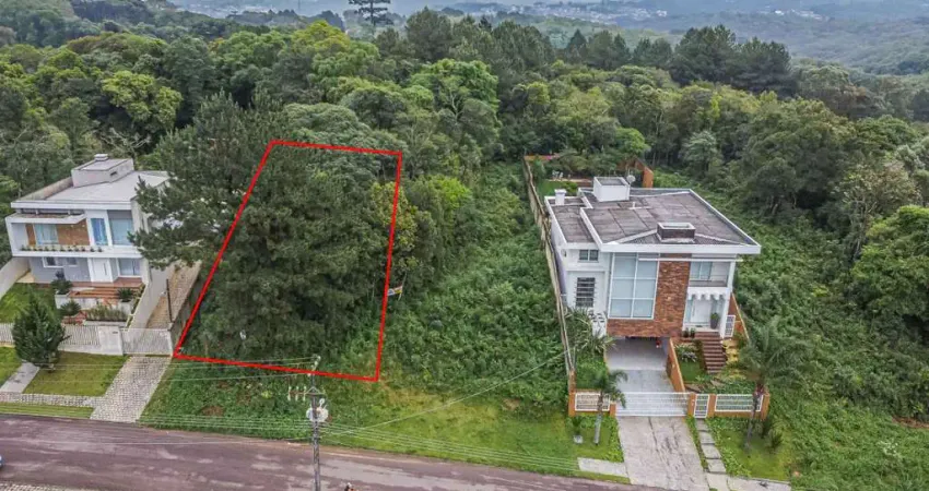 Terreno/Área no Butiatuvinha de 655,74 m²  - 94586.001-KD