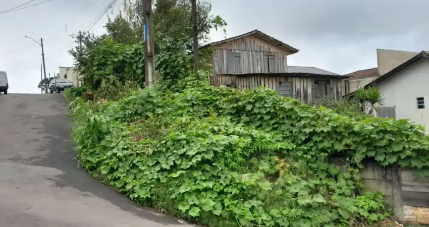 Terreno à venda na Rua Max Alberto Tiemann, 274, Jardim Paris, Almirante Tamandaré