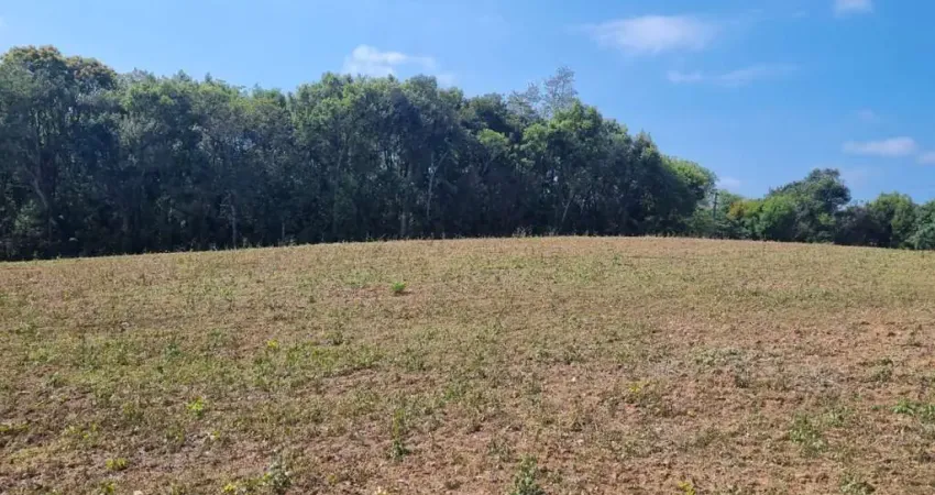 Terreno à venda na Rua Luiz Francisco Pase, Jardim Cecília, Campo Magro