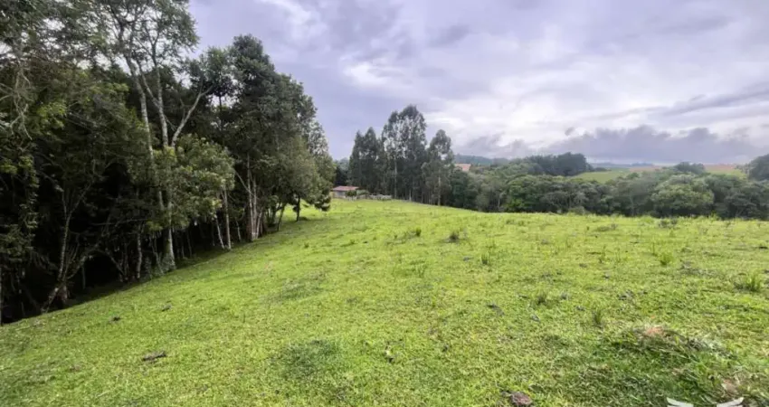Chácara / sítio à venda na Rua Benedito Soares Pinto, S/N, São João I, Campo Largo