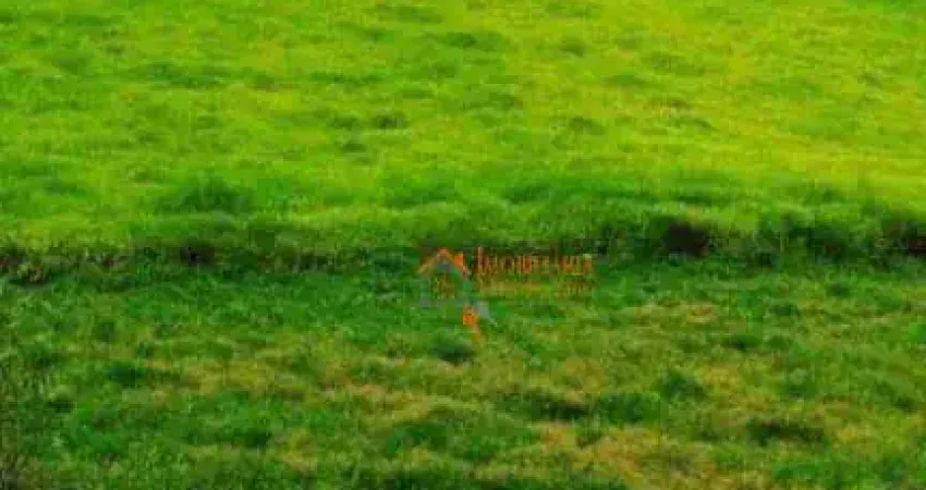 Terreno à venda, 19980 m² por R$ 2.000.000,00 - São Bento - Arujá/SP