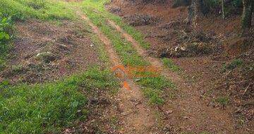 Terreno à venda, 125 m² por R$ 200.000,00 - Portal dos Gramados - Guarulhos/SP
