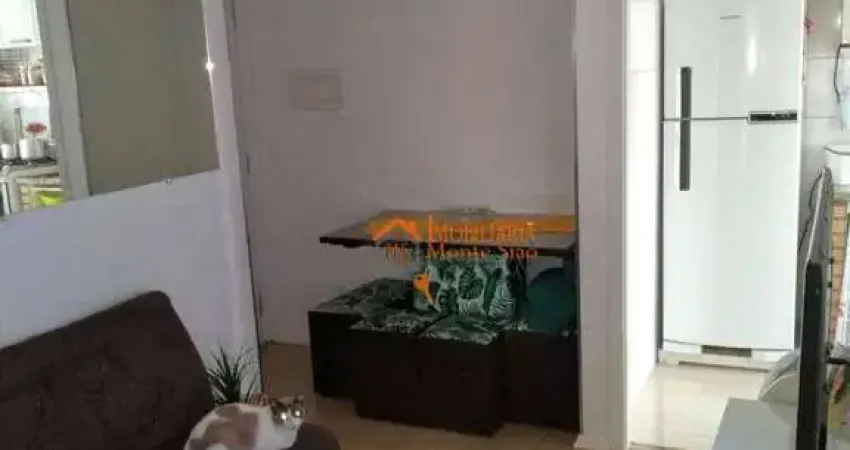 Apartamento com 3 dormitórios à venda, 50 m² por R$ 290.000,00 - Vila Flórida - Guarulhos/SP