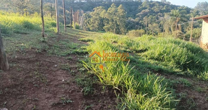 Terreno à venda, 1320 m² por R$ 106.000,00 - Tanque Grande - Guarulhos/SP