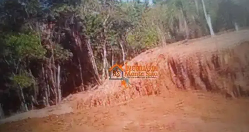 Terreno em condomínio fechado à venda na Rua Cerejeira, Jardim Esperança, Mogi das Cruzes