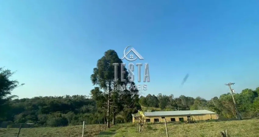 SÍTIO Á VENDA EM PIRATININGA - RODOVIA BAURU - IPAUSSU