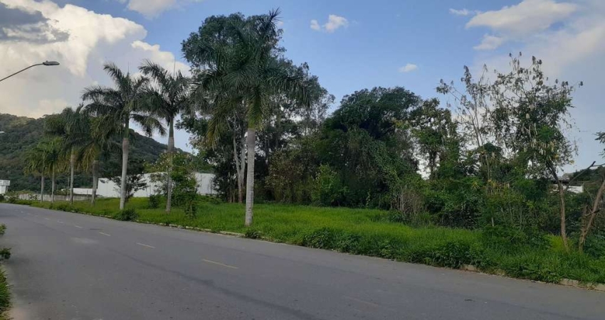 Terreno plano Próximo à Rodoviária e Moinho