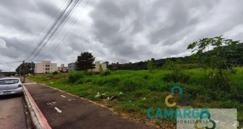 Terreno à venda na Rua Pedro Dalprá Filho, 00, Jardim Paulista, Campina Grande do Sul