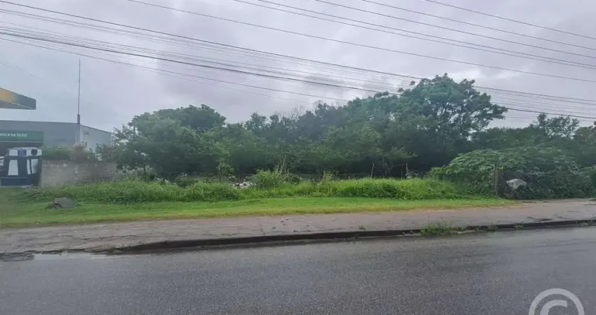 Terreno amplo em localização estratégica em florianópolis