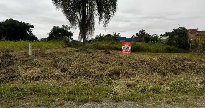 Terreno à venda na Rua Biguá, 1205, Itacolomi, Balneário Piçarras