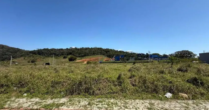 Terreno à venda na Rua Silvia Regina Rubini Nicoluzzi, 350, Nossa Senhora de Fátima, Penha