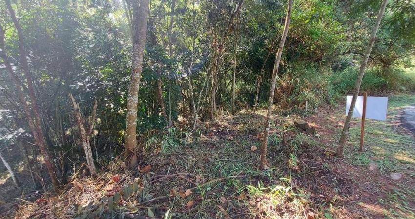 Lote em Condomínio Fechado para Venda em Nova Lima, Arvoredo