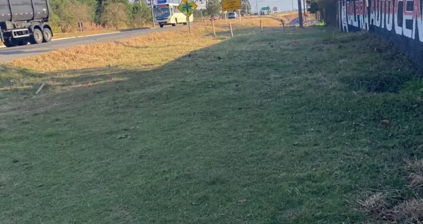 Terreno à venda na Estrada da Ribeira, 0, Guaraituba, Colombo