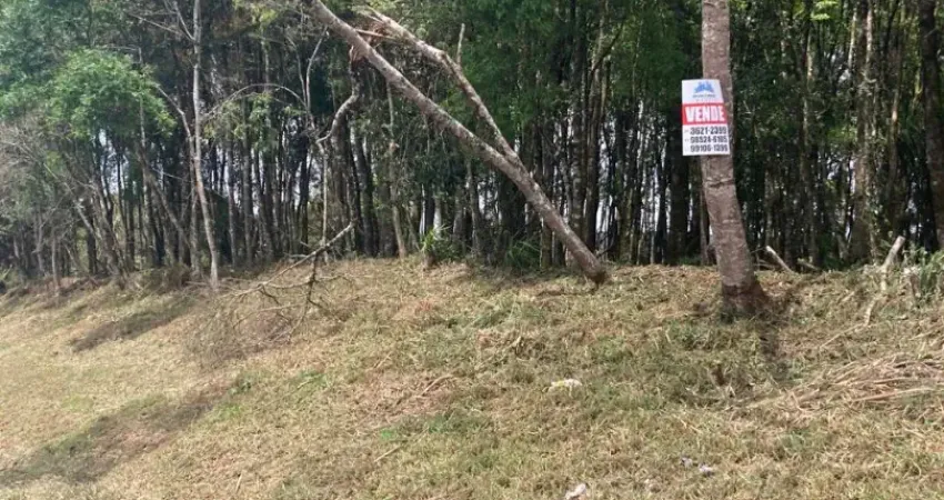 Terreno à venda na Rua José Strapasson, 0, Santa Gema, Colombo