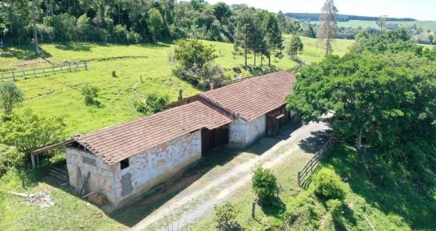 Chácara / sítio à venda na Linha Rural Ribeirão Aurora, Taboão, Rio do Sul