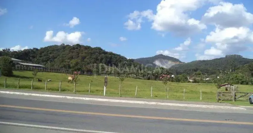 Terreno comercial à venda na Rua Werner Duwe, Km15, Testo Salto, Blumenau