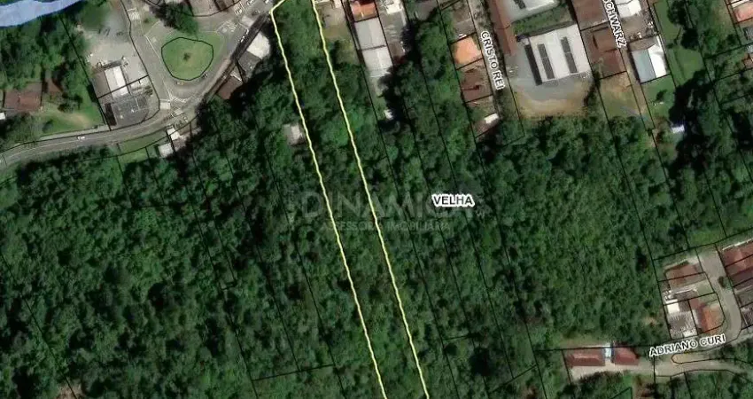 Terreno comercial à venda na Rua João Pessoa, S/N, Velha, Blumenau